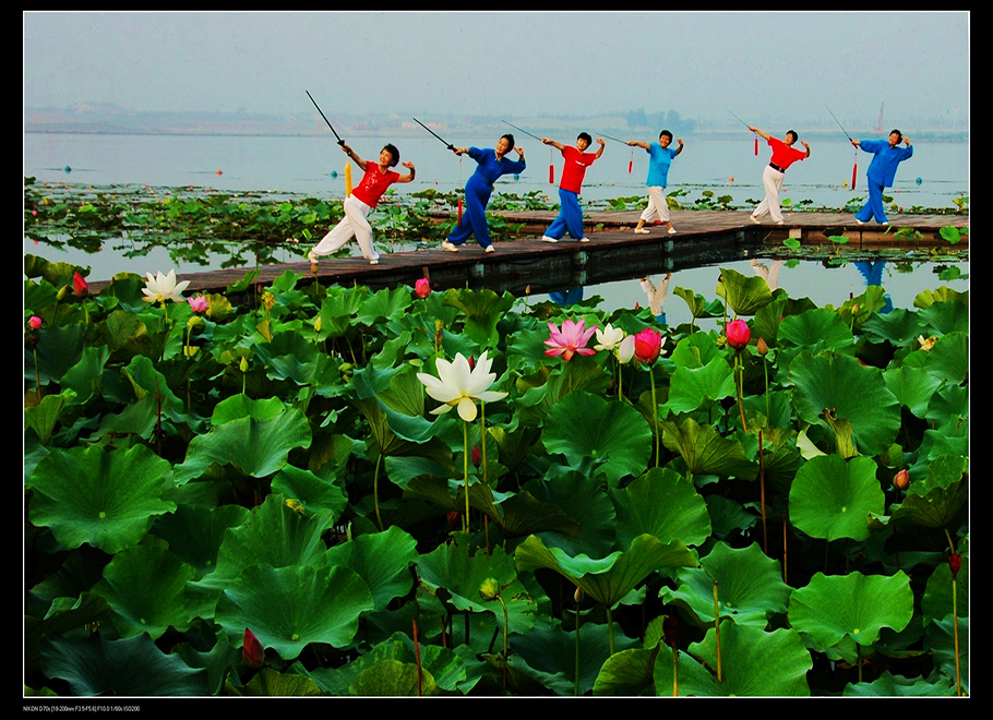 水上T台（张龙法 摄）.jpg